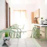 Musa B&B 3*